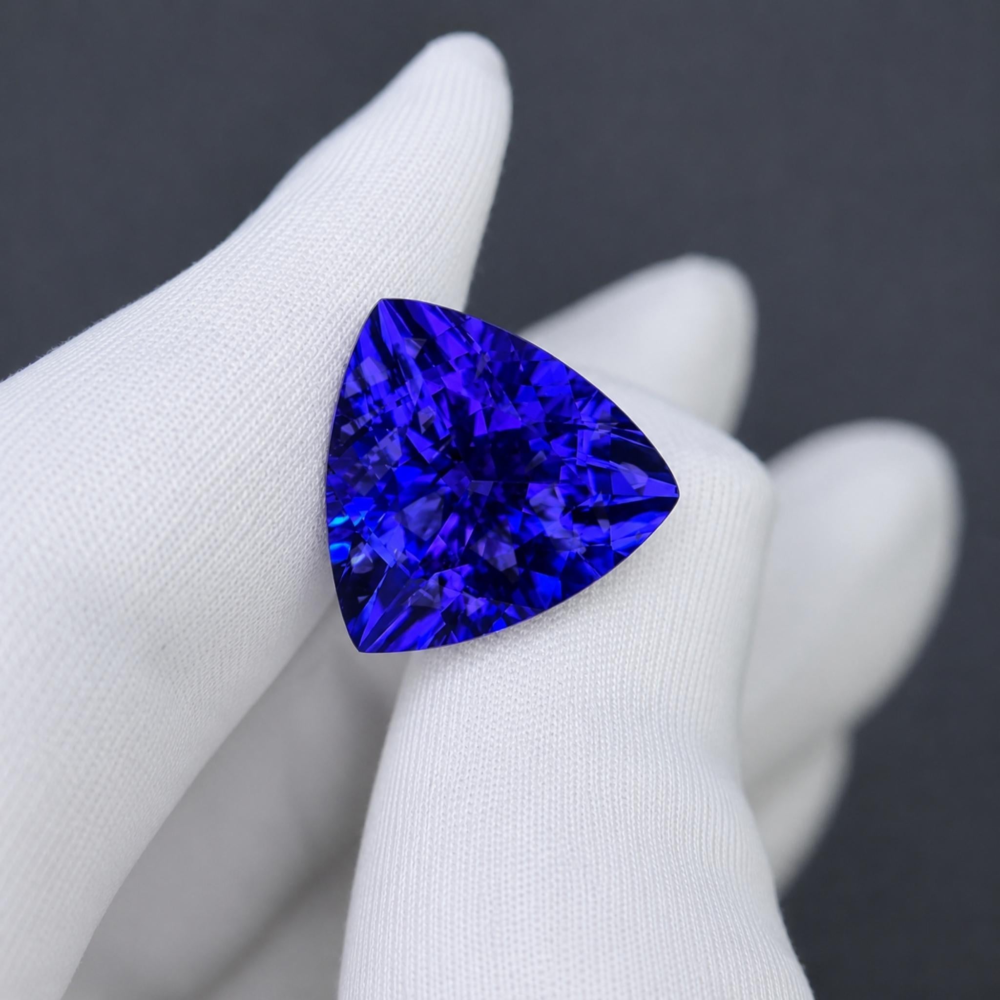 Violett & Blauer Tansanit im Trillion-Schliff – 11,79 Karat