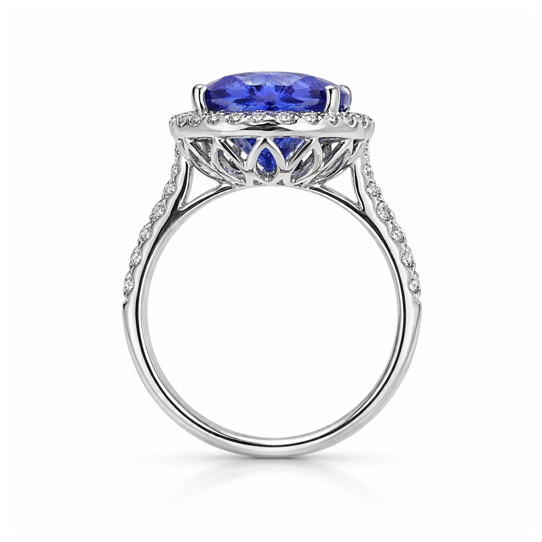 6,5 Karat Ausnahme-Rund-Tansanit- & Diamant-Halo-Ring