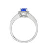 Petit Tanzanite Oval & Diamond Halo Ring